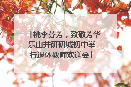 桃李芬芳，致敬芳华 乐山井研研城初中举行退休教师欢送会