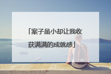 案子虽小却让我收获满满的成就感