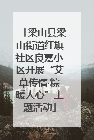 梁山县梁山街道红旗社区良嘉小区开展“艾草传情·粽暖人心”主题活动