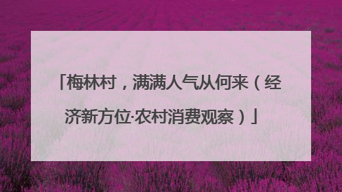 梅林村，满满人气从何来（经济新方位·农村消费观察）