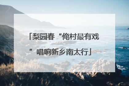 梨园春“俺村最有戏”唱响新乡南太行