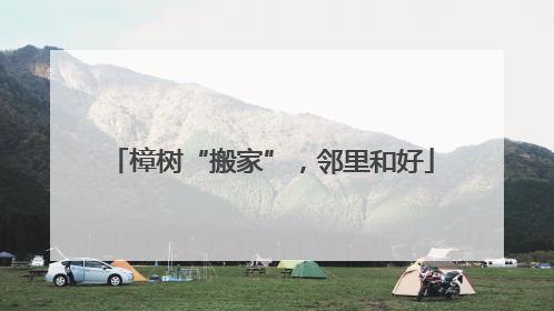 樟树“搬家”，邻里和好