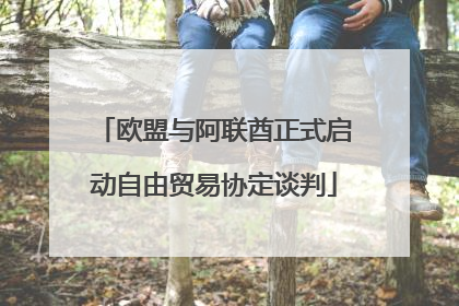 欧盟与阿联酋正式启动自由贸易协定谈判