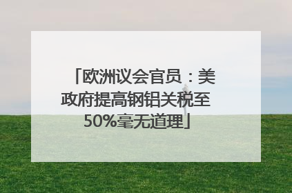 欧洲议会官员：美政府提高钢铝关税至50%毫无道理