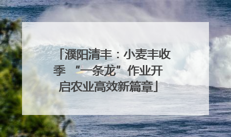 濮阳清丰：小麦丰收季 “一条龙”作业开启农业高效新篇章