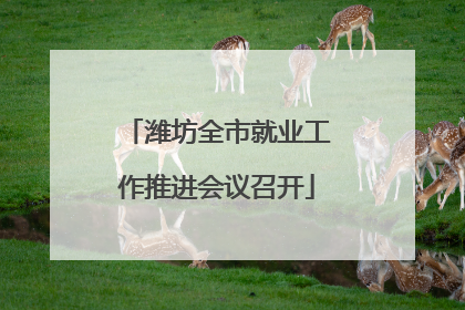 潍坊全市就业工作推进会议召开