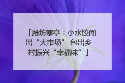 潍坊寒亭：小水饺闯出“大市场” 包出乡村振兴“幸福味”