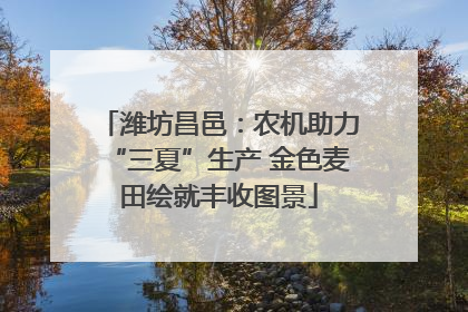 潍坊昌邑：农机助力“三夏”生产 金色麦田绘就丰收图景