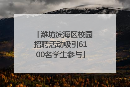潍坊滨海区校园招聘活动吸引6100名学生参与