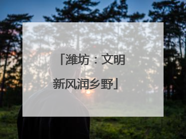 潍坊：文明新风润乡野