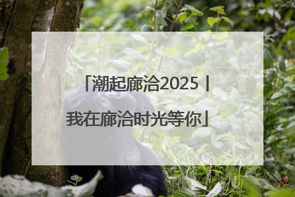 潮起廊洽2025丨我在廊洽时光等你