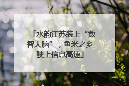 水韵江苏装上“数智大脑”，鱼米之乡驶上信息高速