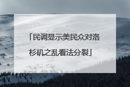 民调显示美民众对洛杉矶之乱看法分裂