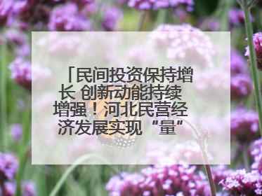 民间投资保持增长 创新动能持续增强！河北民营经济发展实现“量”“质”双提升