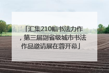 汇集210幅书法力作，第三届副省级城市书法作品邀请展在蓉开幕