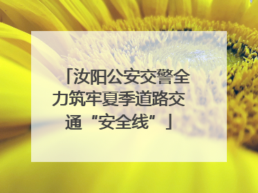 汝阳公安交警全力筑牢夏季道路交通“安全线”