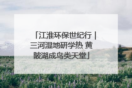江淮环保世纪行｜三河湿地研学热 黄陂湖成鸟类天堂