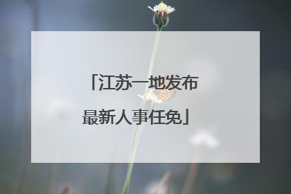 江苏一地发布最新人事任免