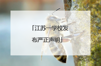 江苏一学校发布严正声明
