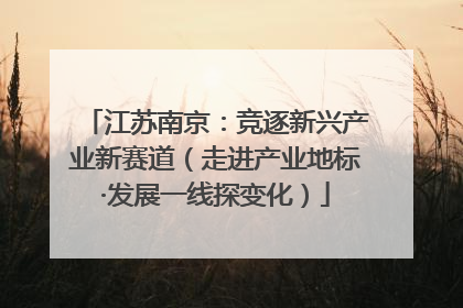 江苏南京：竞逐新兴产业新赛道（走进产业地标·发展一线探变化）