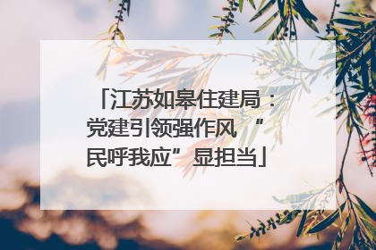 江苏如皋住建局：党建引领强作风 “民呼我应”显担当