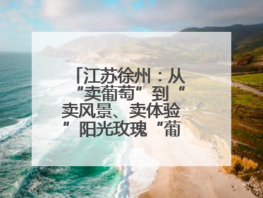 江苏徐州：从“卖葡萄”到“卖风景、卖体验”阳光玫瑰“葡”就致富路