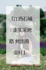 江西石城：走实采烤路 烤出黄金叶