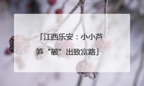 江西乐安：小小芦笋“破”出致富路