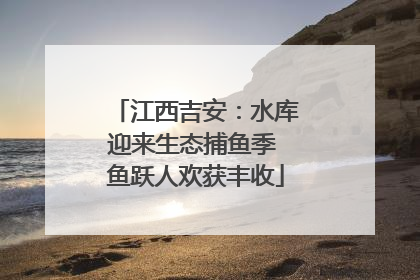 江西吉安：水库迎来生态捕鱼季 鱼跃人欢获丰收