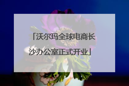 沃尔玛全球电商长沙办公室正式开业