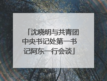 沈晓明与共青团中央书记处第一书记阿东一行会谈