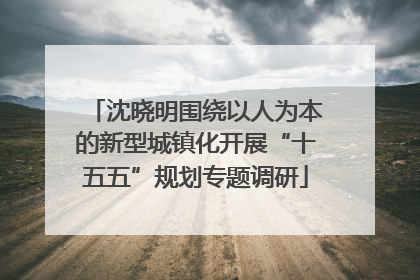 沈晓明围绕以人为本的新型城镇化开展“十五五”规划专题调研