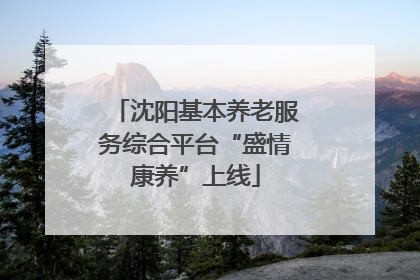 沈阳基本养老服务综合平台“盛情康养”上线