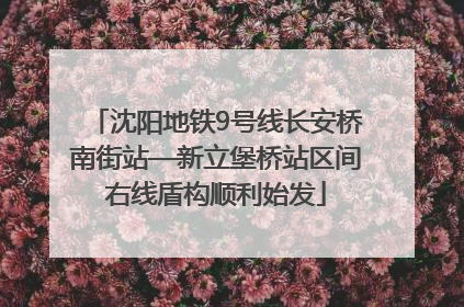 沈阳地铁9号线长安桥南街站—新立堡桥站区间右线盾构顺利始发
