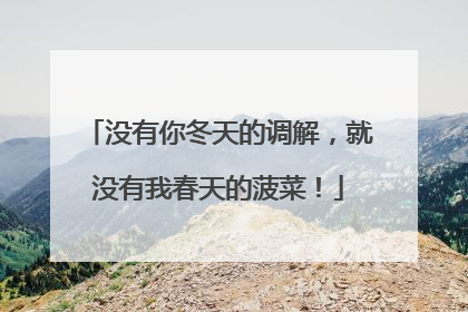 没有你冬天的调解，就没有我春天的菠菜！