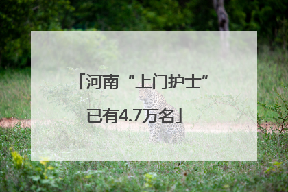 河南“上门护士”已有4.7万名