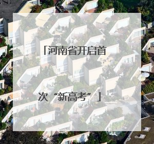 河南省开启首次“新高考”