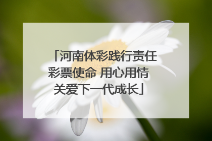 河南体彩践行责任彩票使命 用心用情关爱下一代成长
