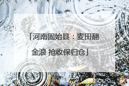 河南固始县：麦田翻金浪 抢收保归仓