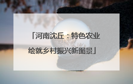 河南沈丘：特色农业绘就乡村振兴新图景