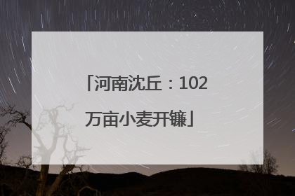 河南沈丘：102 万亩小麦开镰