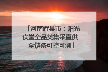 河南辉县市：阳光食堂全品类集采直供 全链条可控可溯