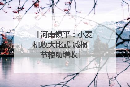 河南镇平：小麦机收大比武 减损节粮助增收