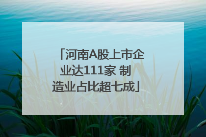 河南A股上市企业达111家 制造业占比超七成
