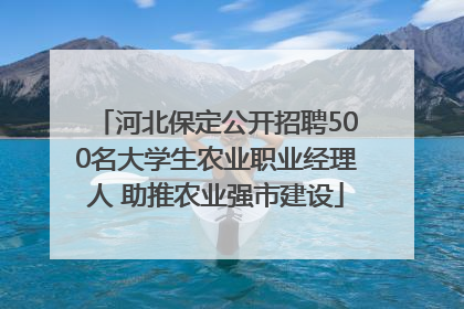 河北保定公开招聘500名大学生农业职业经理人 助推农业强市建设