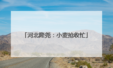 河北隆尧：小麦抢收忙