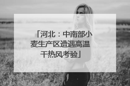 河北：中南部小麦生产区遭遇高温干热风考验