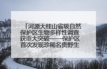 河源大桂山省级自然保护区生物多样性调查获重大突破——保护区首次发现珍稀名贵野生干巴菌与钝尾两头蛇