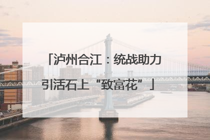 泸州合江：统战助力引活石上“致富花”