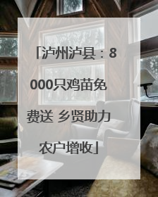 泸州泸县：8000只鸡苗免费送 乡贤助力农户增收